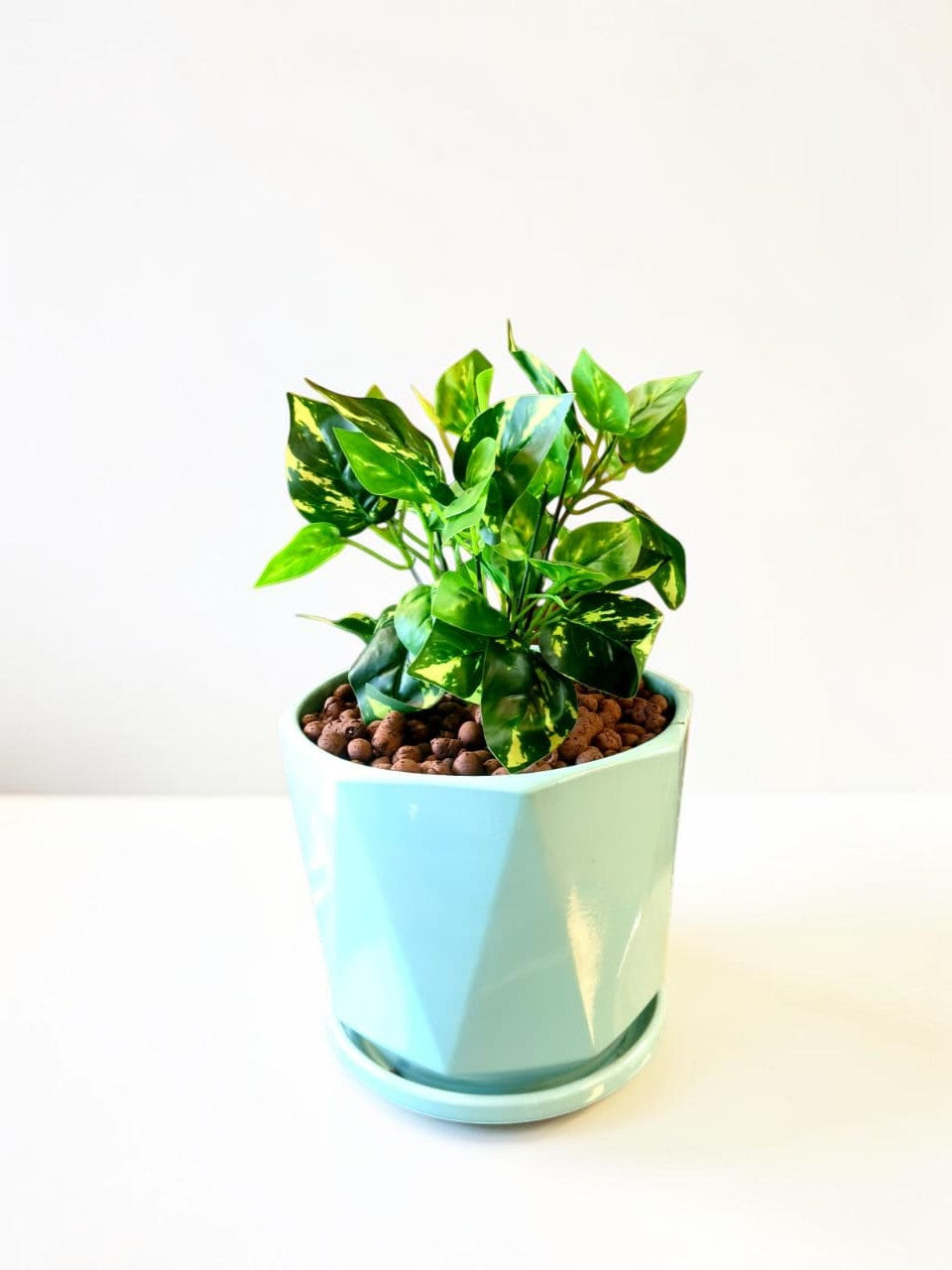 Artificial Money Plant (without pot)