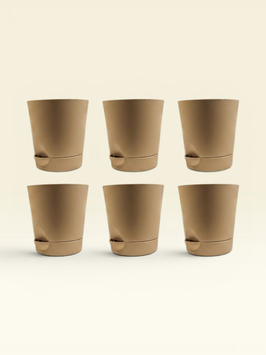 KRISH 12 (set of 6)