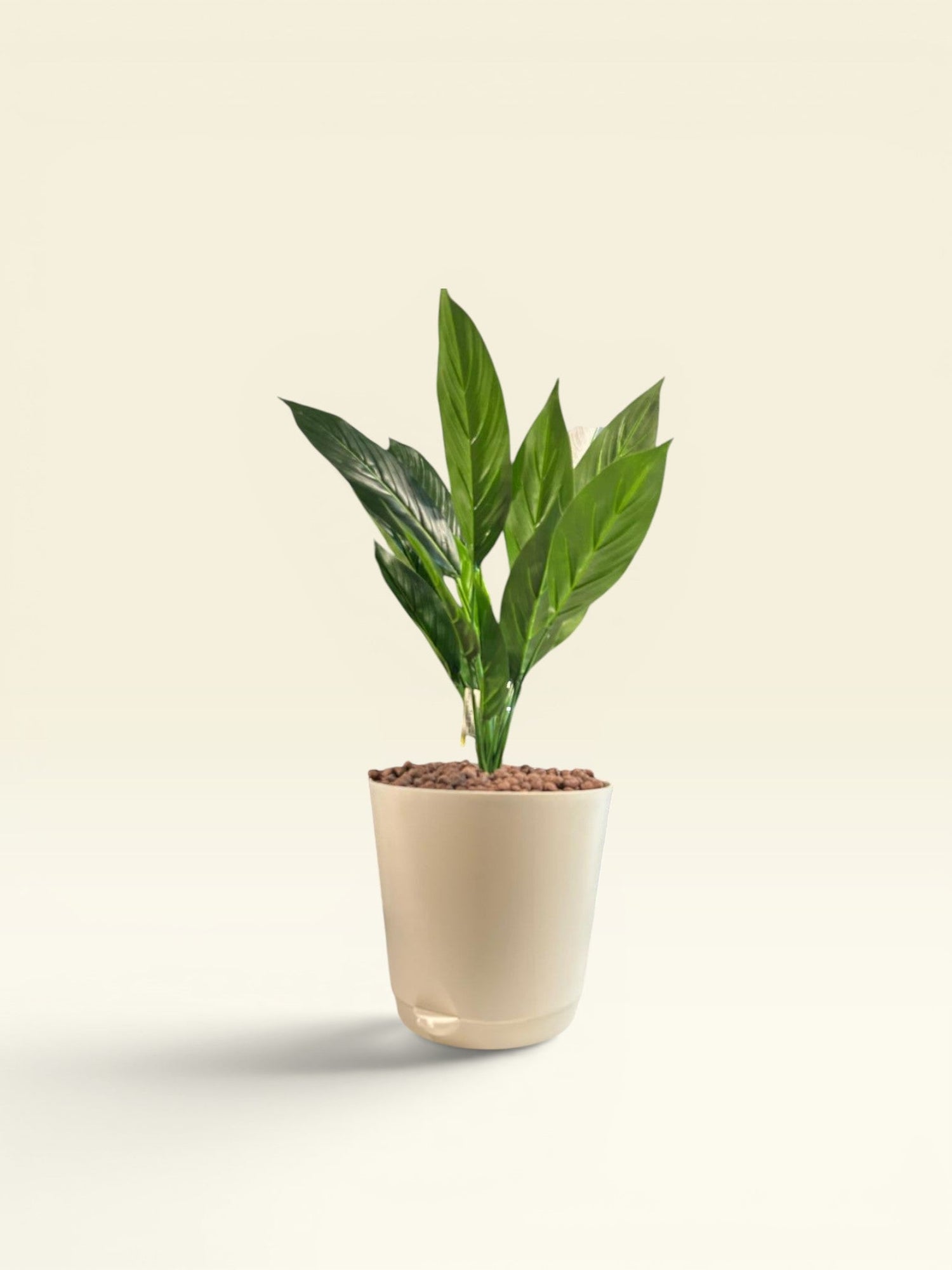 Pots