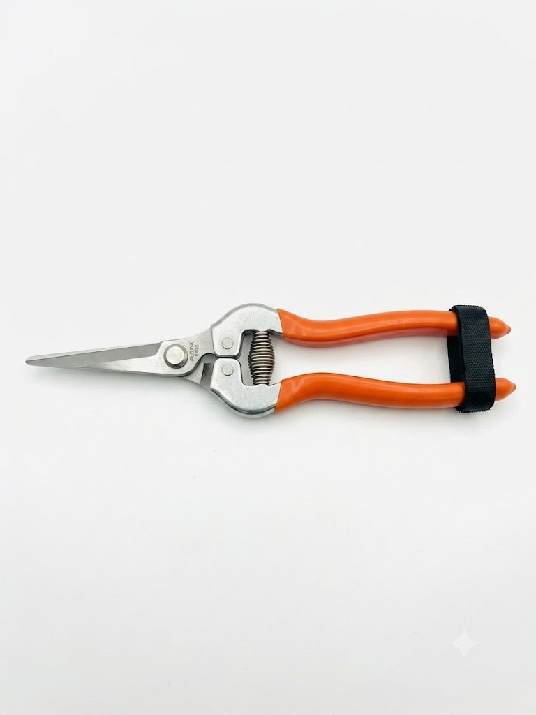 Pruning shears