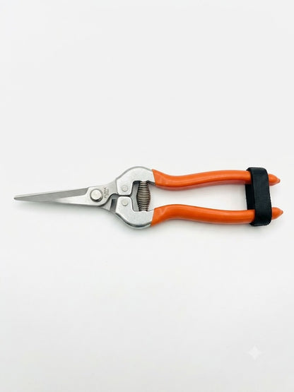 Pruning shears