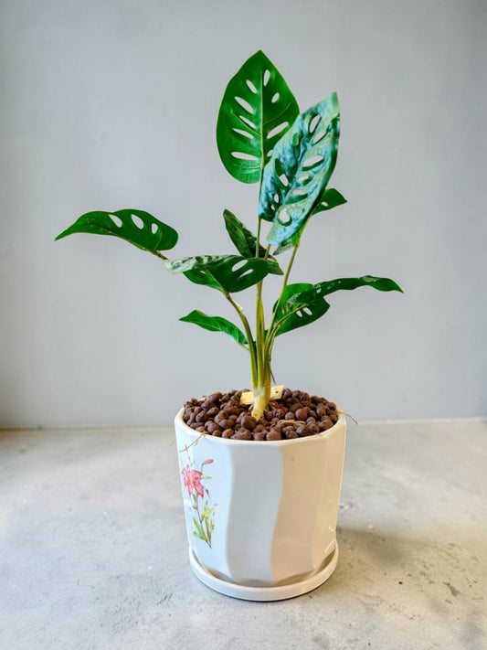 Monstera Artificial Plan