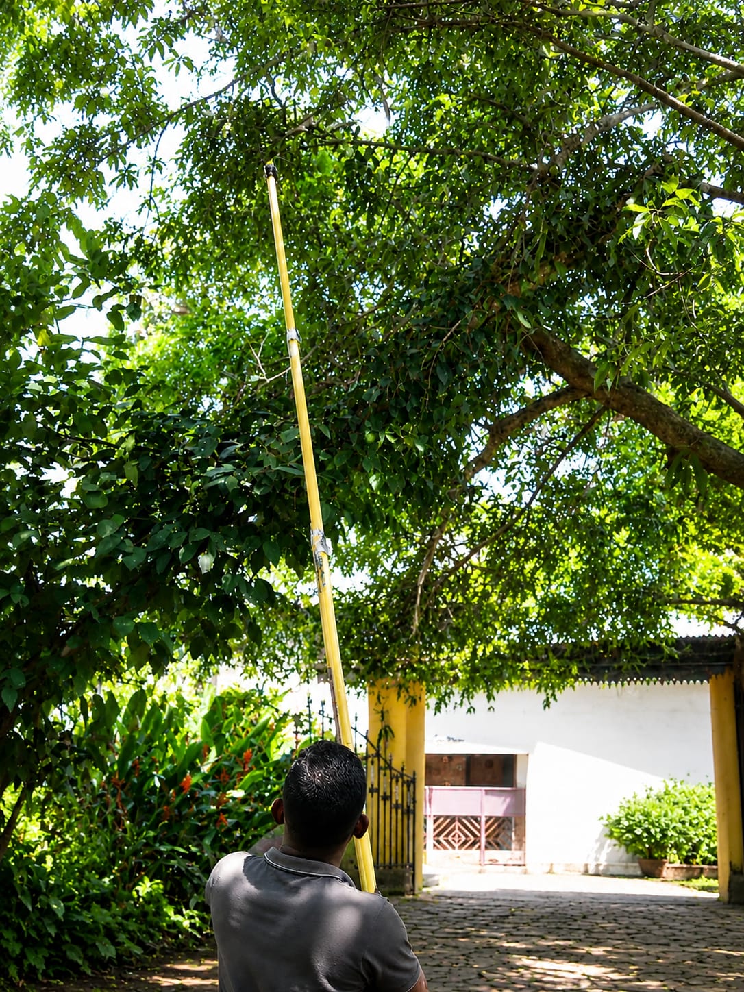 Harvest Fiber Thotti
