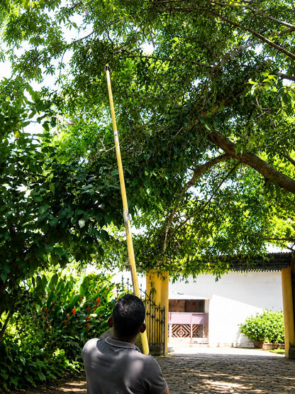 Harvest Fiber Thotti