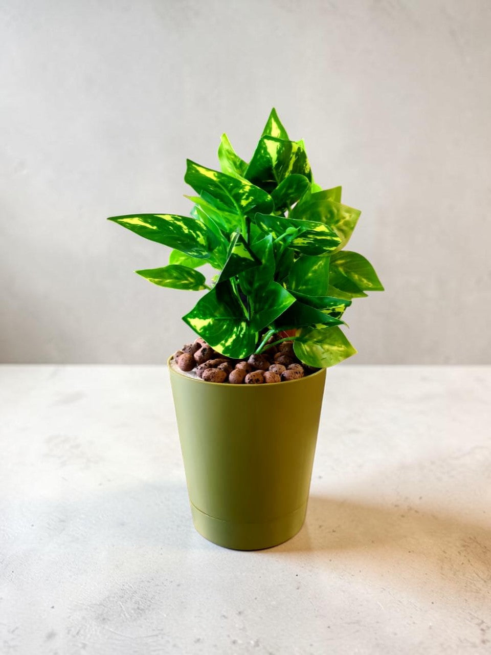 Artificial Money Plant  (with out pot)
