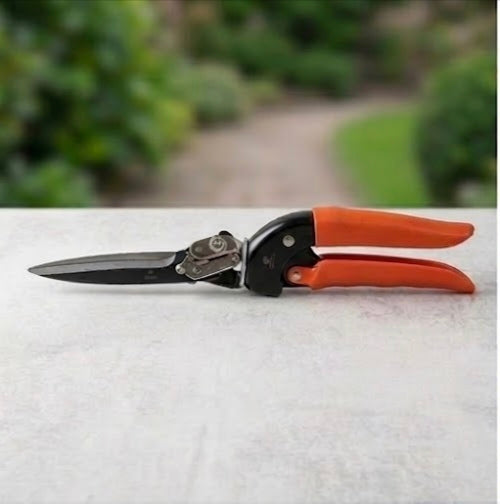 Pruning shears