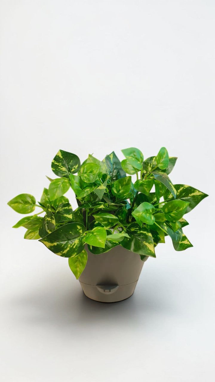 Huka Hook Pots - (Set of 4)