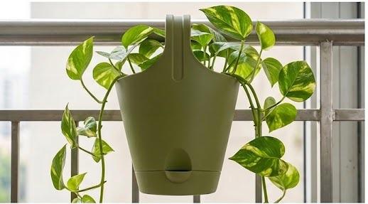 Huka Hook Pots - (Set of 4)