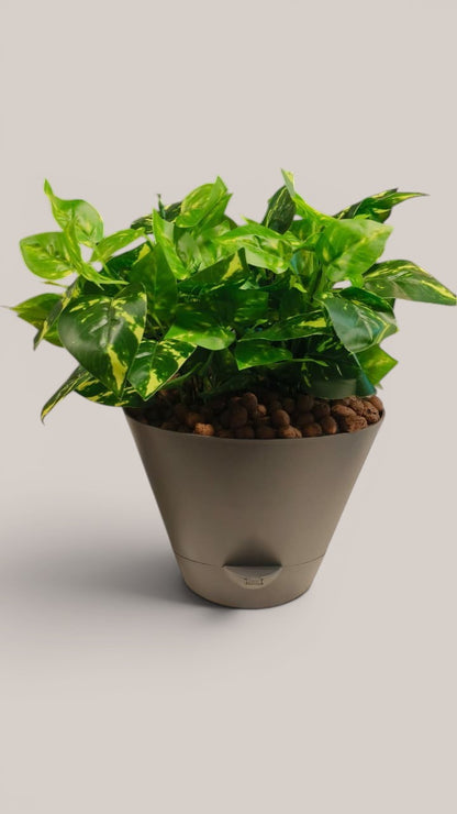 Huka  ( set of 4)