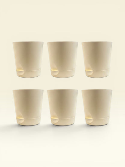 KRISH 12 (set of 6)