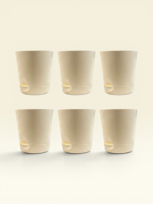 KRISH 12 (set of 6)