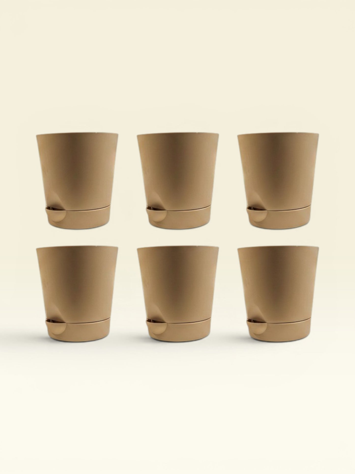 KRISH 12 (set of 6)