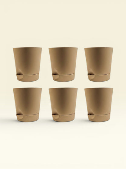KRISH 12 (set of 6)