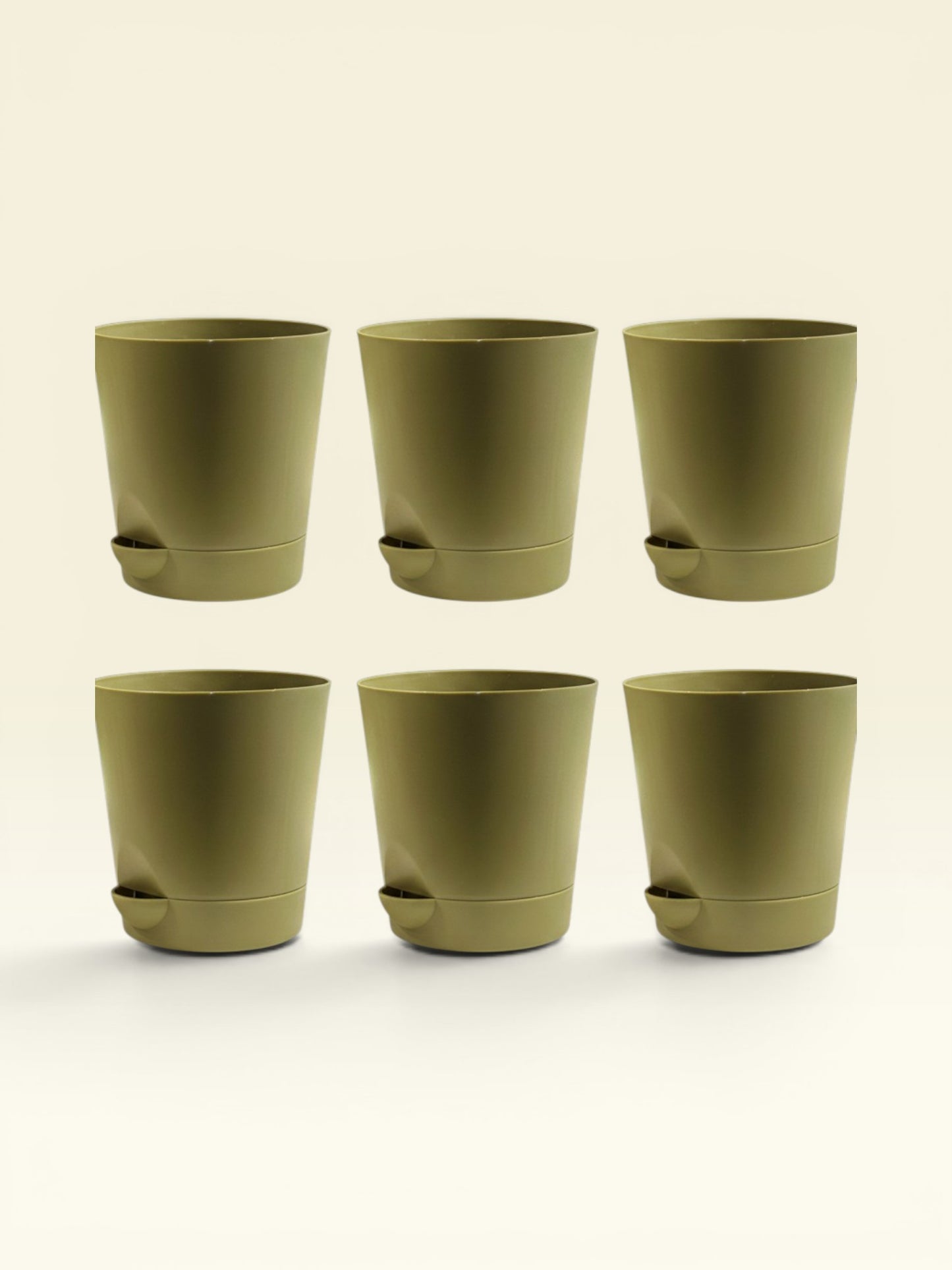 KRISH 12 (set of 6)