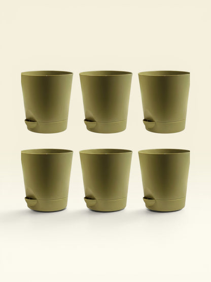 KRISH 12 (set of 6)