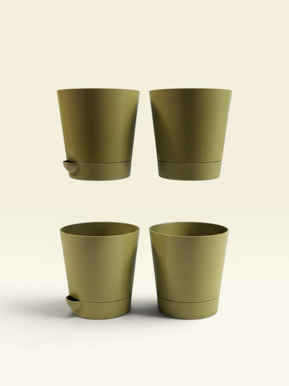 KRISH 18  (set of 4)