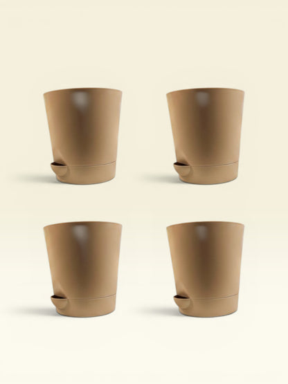 KRISH 18  (set of 4)